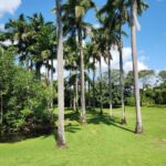 listing image thumbnail with ID 67742