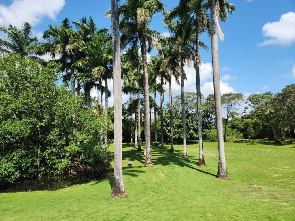 listing image with ID 67742