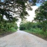 listing image thumbnail with ID 65013