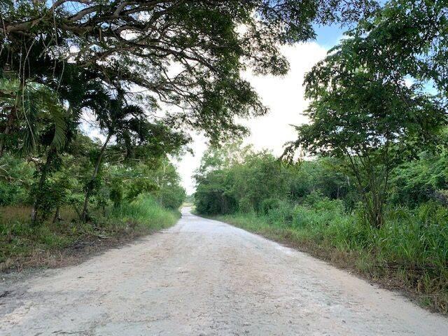 listing image with ID 65013