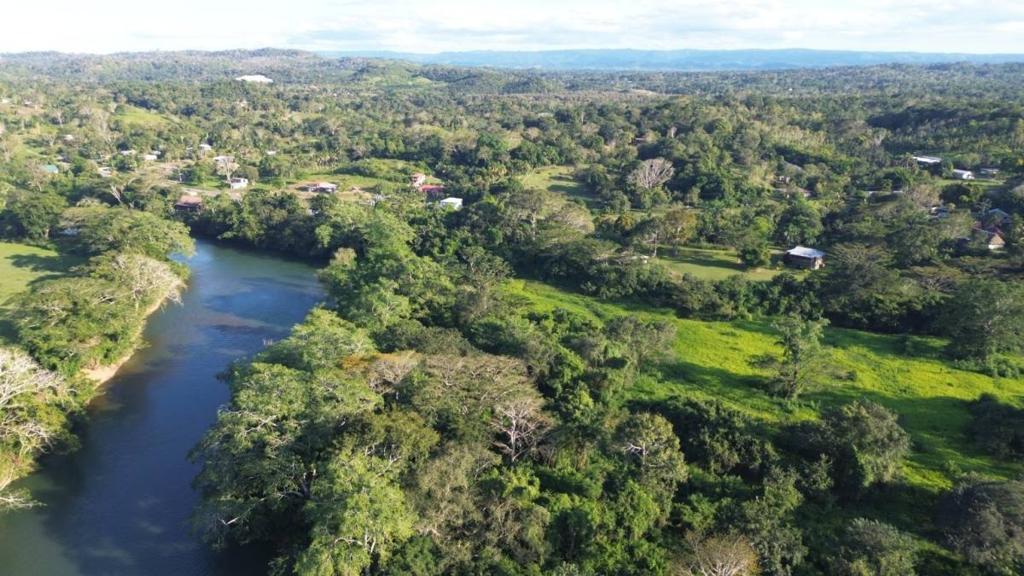 listing image with ID 67618