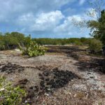 listing image thumbnail with ID 68342