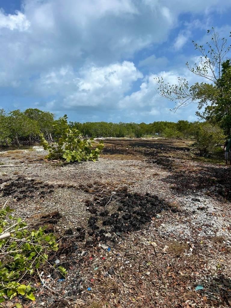 listing image with ID 68342