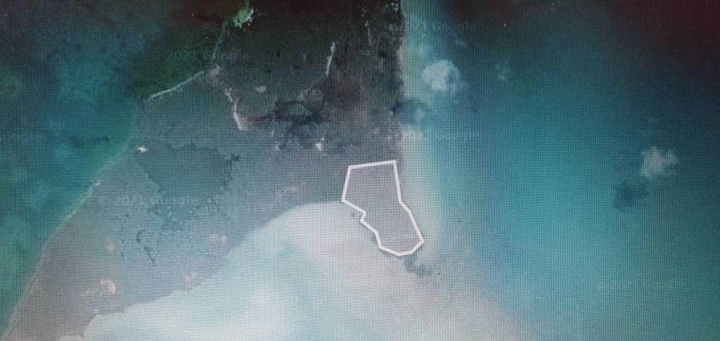 listing image with ID 64744