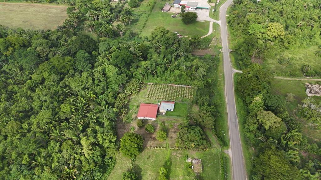 listing image with ID 65412