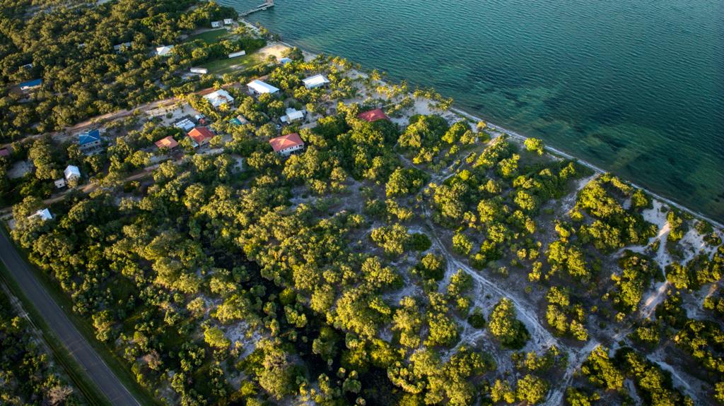 listing image with ID 68715