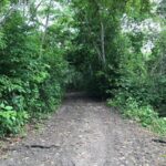 listing image thumbnail with ID 67317