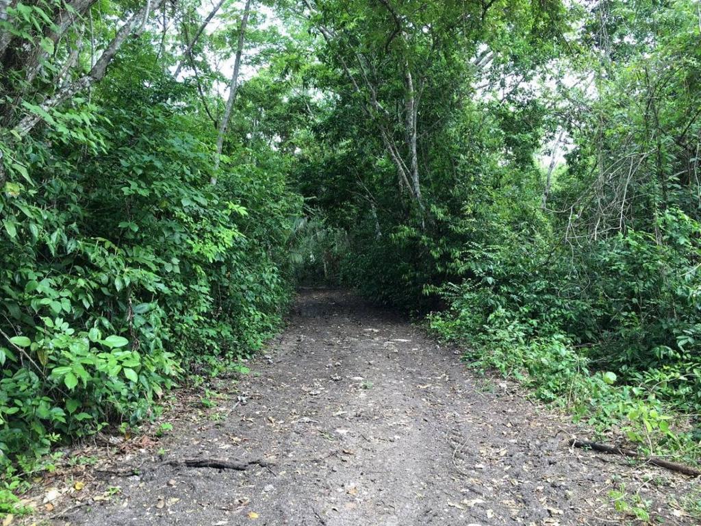 listing image with ID 67317