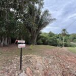 listing image thumbnail with ID 65603