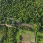 listing image thumbnail with ID 65413