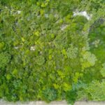 listing image thumbnail with ID 65336