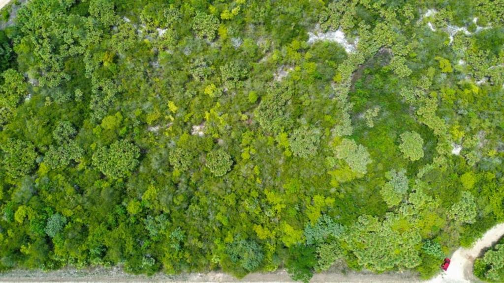 listing image with ID 65336