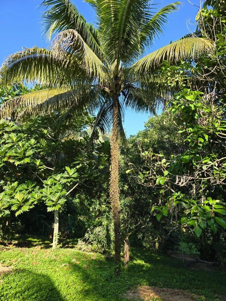 listing image with ID 64598