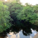 listing image thumbnail with ID 65016