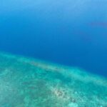 listing image thumbnail with ID 65861