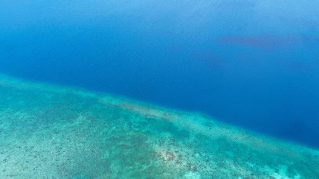 listing image with ID 65861