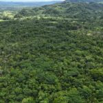 listing image thumbnail with ID 66652