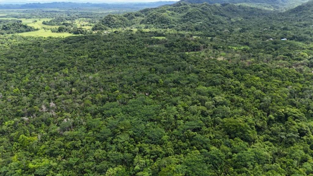 listing image with ID 66652