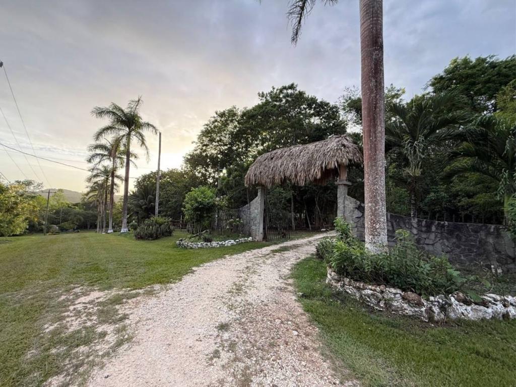 listing image with ID 65599