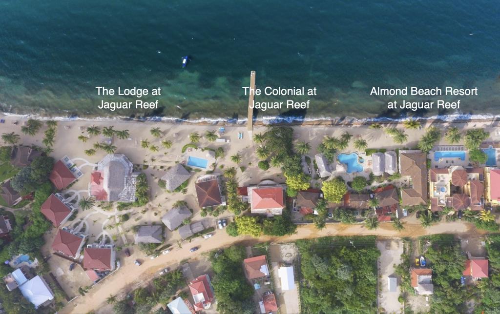 listing image with ID 68459