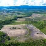 listing image thumbnail with ID 65292