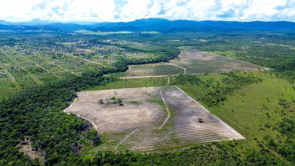 listing image with ID 65292