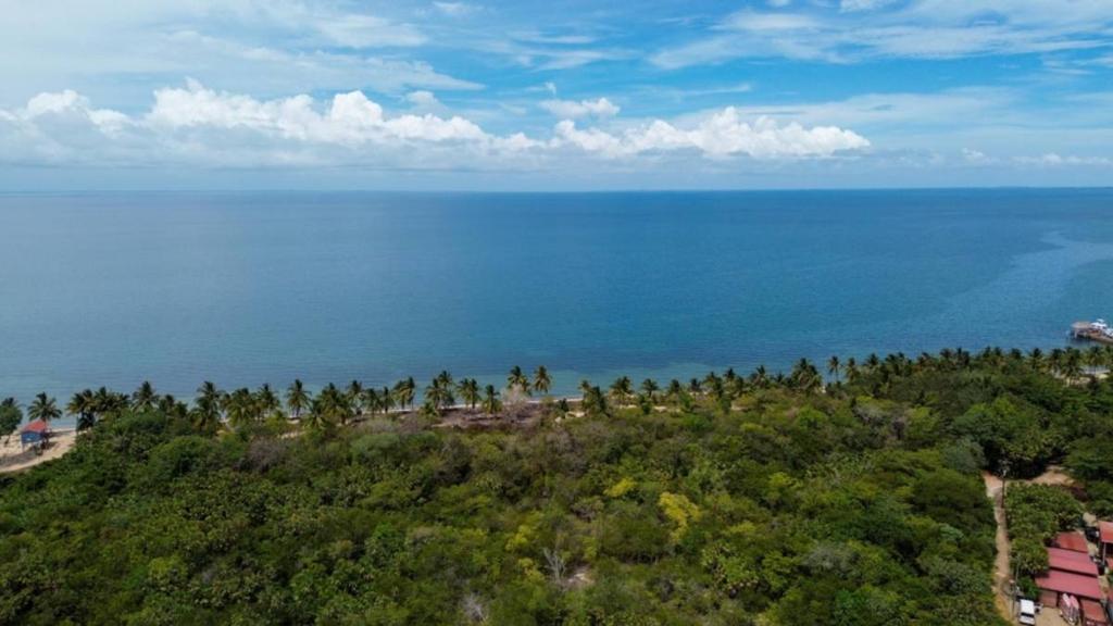 listing image with ID 65342