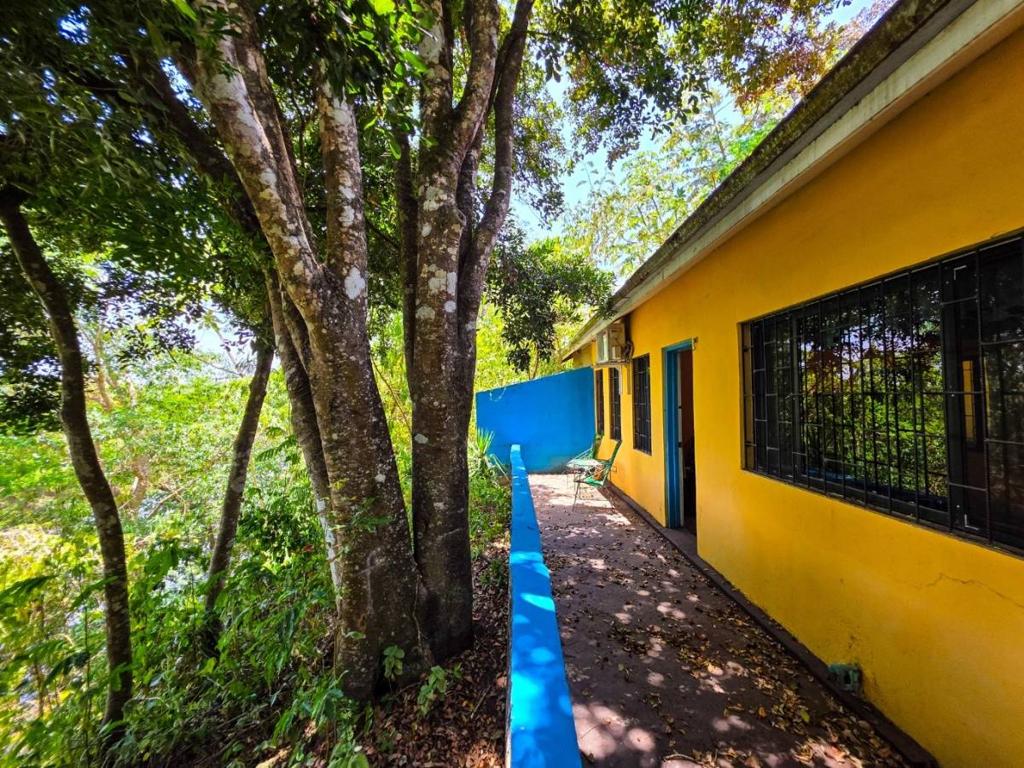 listing image with ID 64280