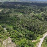 listing image thumbnail with ID 66155