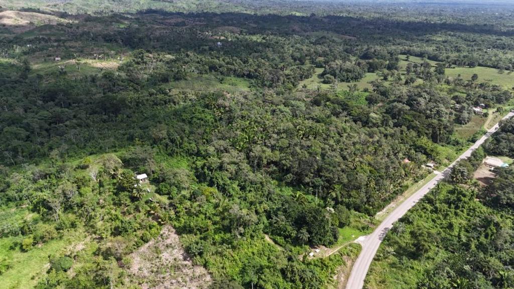 listing image with ID 66155