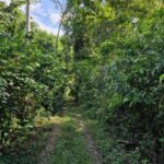 listing image thumbnail with ID 67541