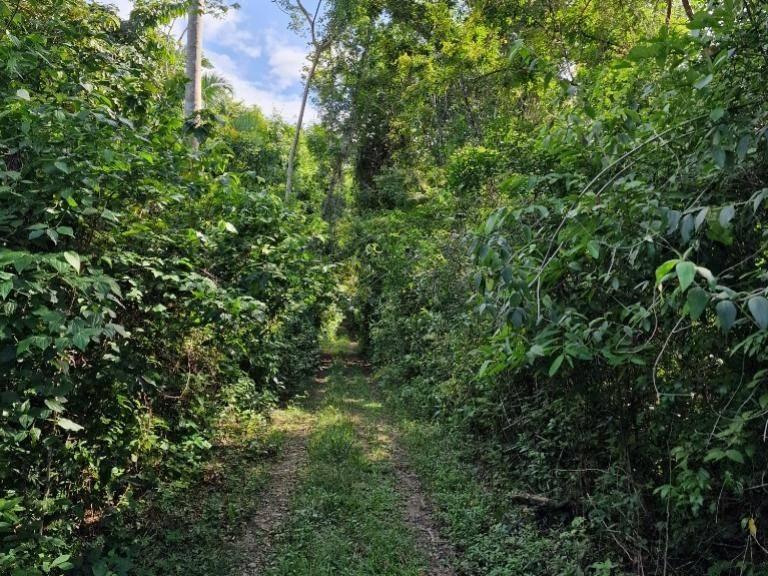 listing image with ID 67541