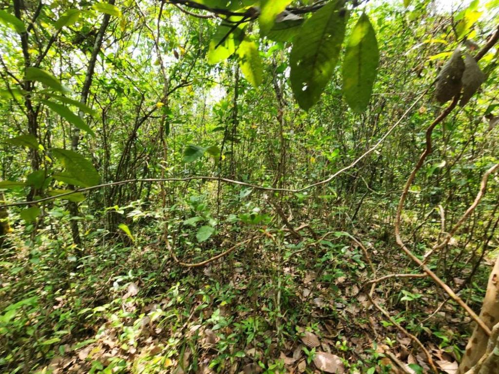 listing image with ID 64891