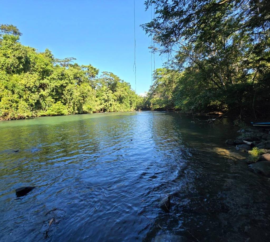 listing image with ID 64587