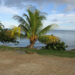 listing image thumbnail with ID 64167