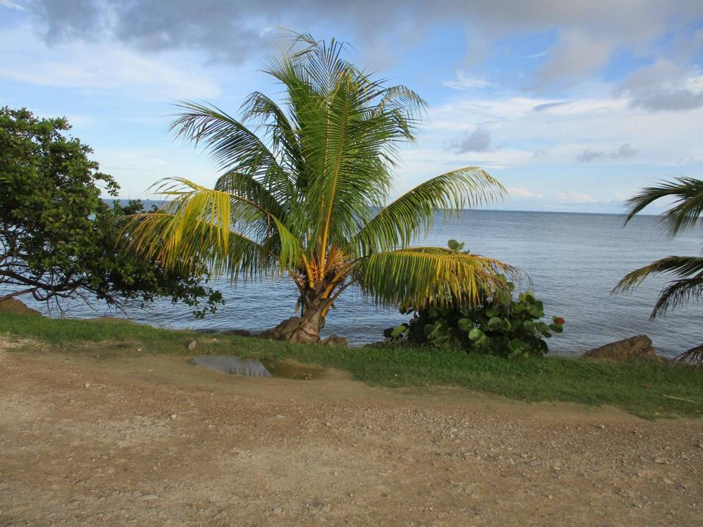 listing image with ID 64167