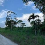 listing image thumbnail with ID 65025