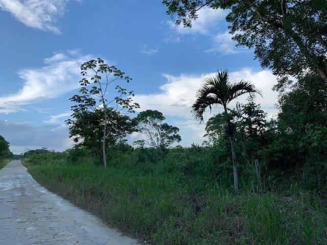 listing image with ID 65025