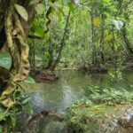 listing image thumbnail with ID 68265