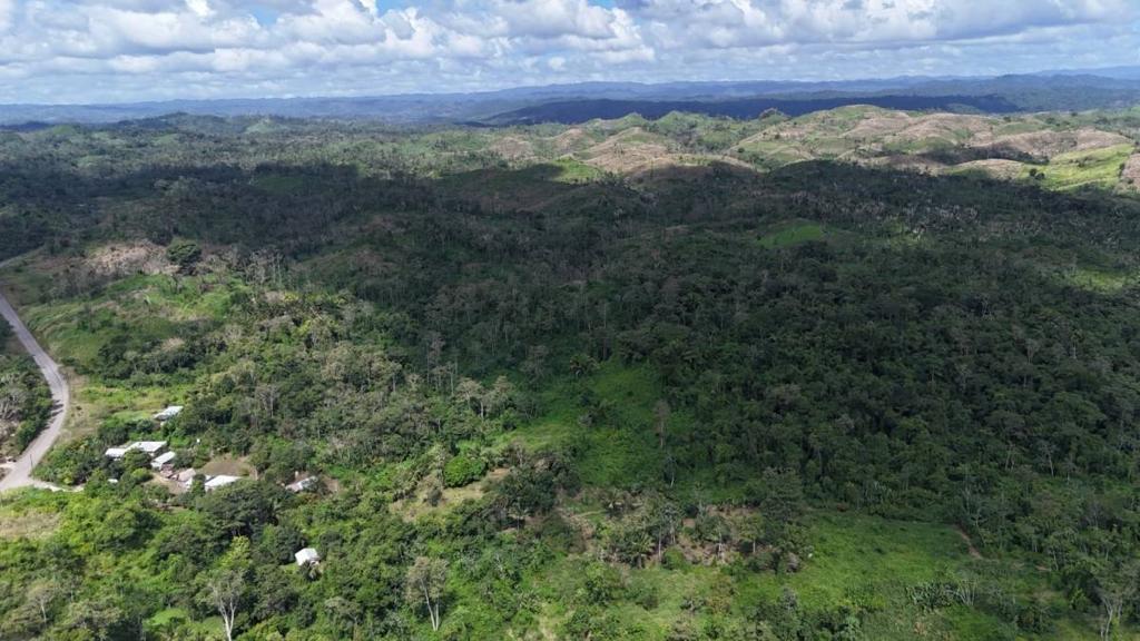 listing image with ID 66157