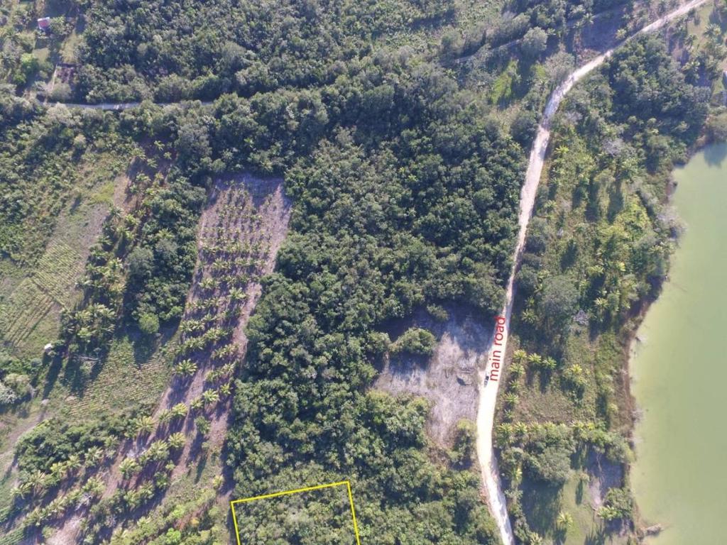 listing image with ID 64916