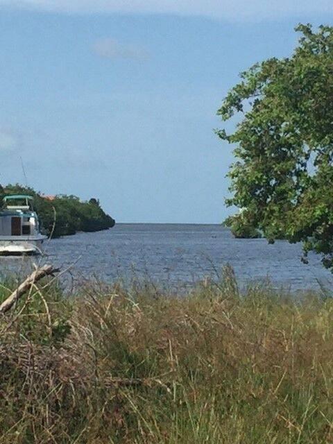 listing image with ID 65915