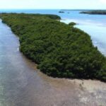 listing image thumbnail with ID 63567