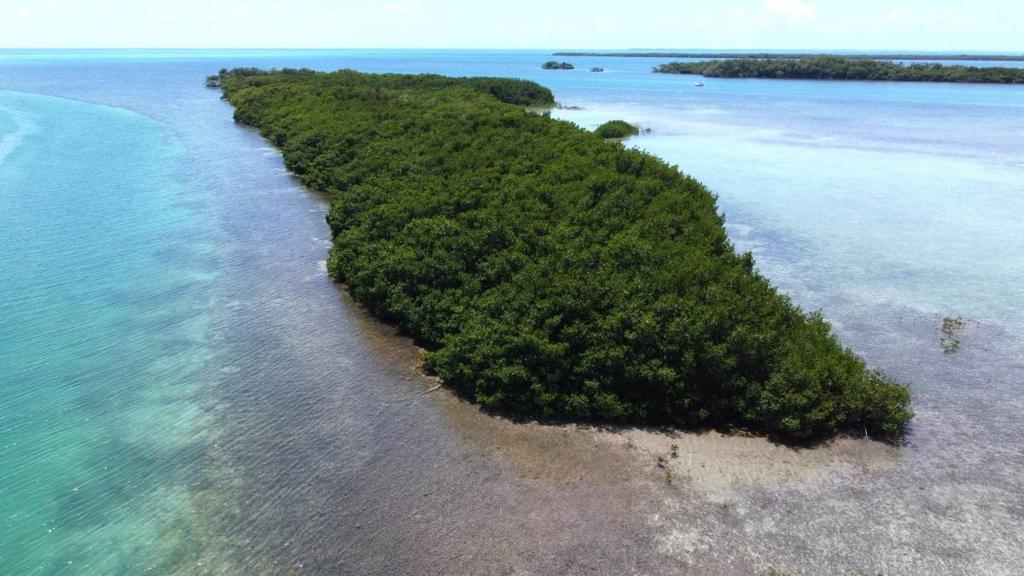 listing image with ID 63567