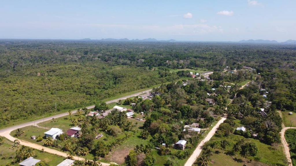 listing image with ID 64361