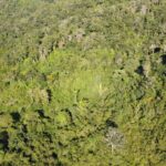 listing image thumbnail with ID 67579