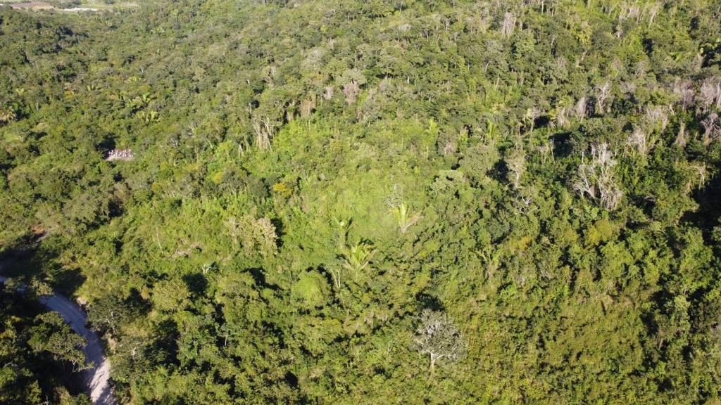 listing image with ID 67579