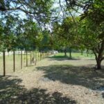 listing image thumbnail with ID 64444