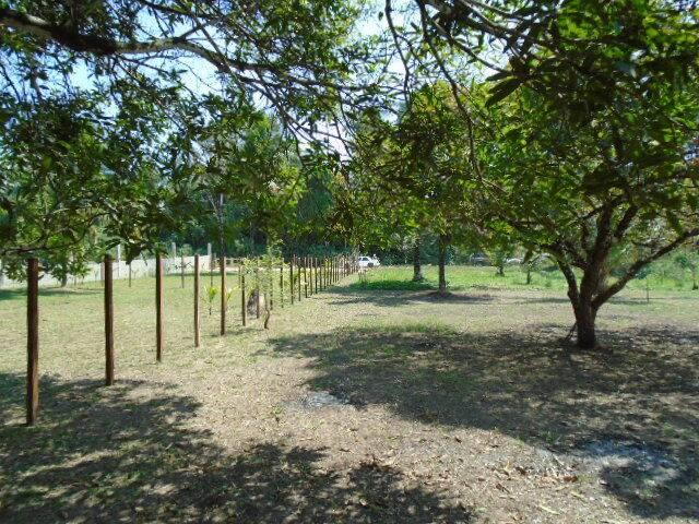 listing image with ID 64444