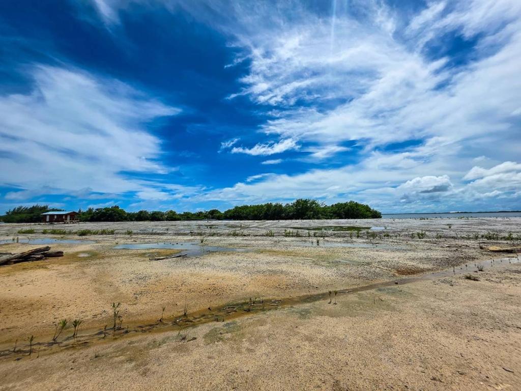 listing image with ID 67596